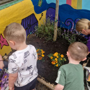 Tree planting in playground