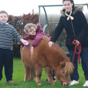 Equine Mobile Outreach Programme 