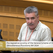 Martin Collins at the Oireachtas committee