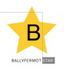 Ballyfermot STAR