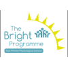 BRIGHT Programme 