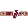 Galway SPCA