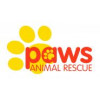 PAWS Animal Rescue