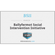 Ballyfermot Social Intervention Initiative